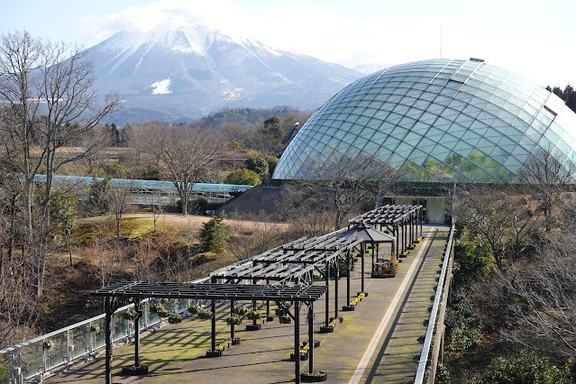 鳥取県西伯郡南部町鶴田 とっとり花回廊 フラワードーム