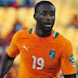 Yaya Toure can do the job says Herve Renard
