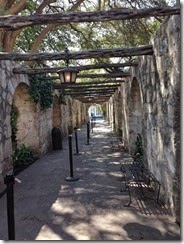 IMG_1747
