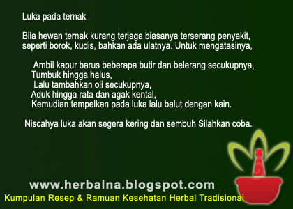 Luka pada ternak    Bila hewan ternak kurang terjaga biasanya terserang penyakit,   seperti borok, kudis, bahkan ada ulatnya. Untuk mengatasinya,          Ambil kapur barus beberapa butir dan belerang secukupnya,      Tumbuk hingga halus,      Lalu tambahkan oli secukupnya,     Aduk hingga rata dan agak kental,      Kemudian tempelkan pada luka lalu balut dengan kain.      Niscahya luka akan segera kering dan sembuh Silahkan coba. 