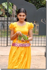 saranya_mohan_new_beautiful_photo