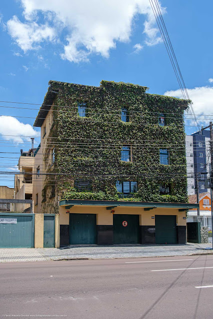 Edifício São Carlos com trepadeira na fachada