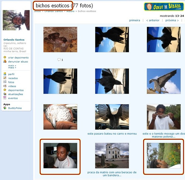 bicho exótico