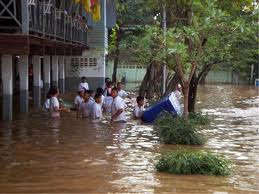 ดูแล ต้นไม้ น้ำท่วม Tree Flood