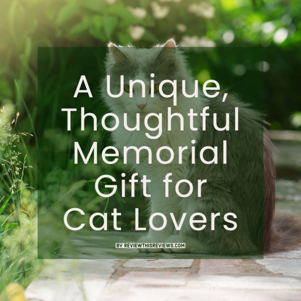 A Unique, Thoughtful Memorial Gift for Cat Lovers