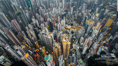 Hong kong urban jungle