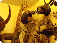 DSCN2457