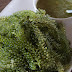 ร้านไม้พยุง  บ้านแหลม จังหวัดเพชรบุรี
