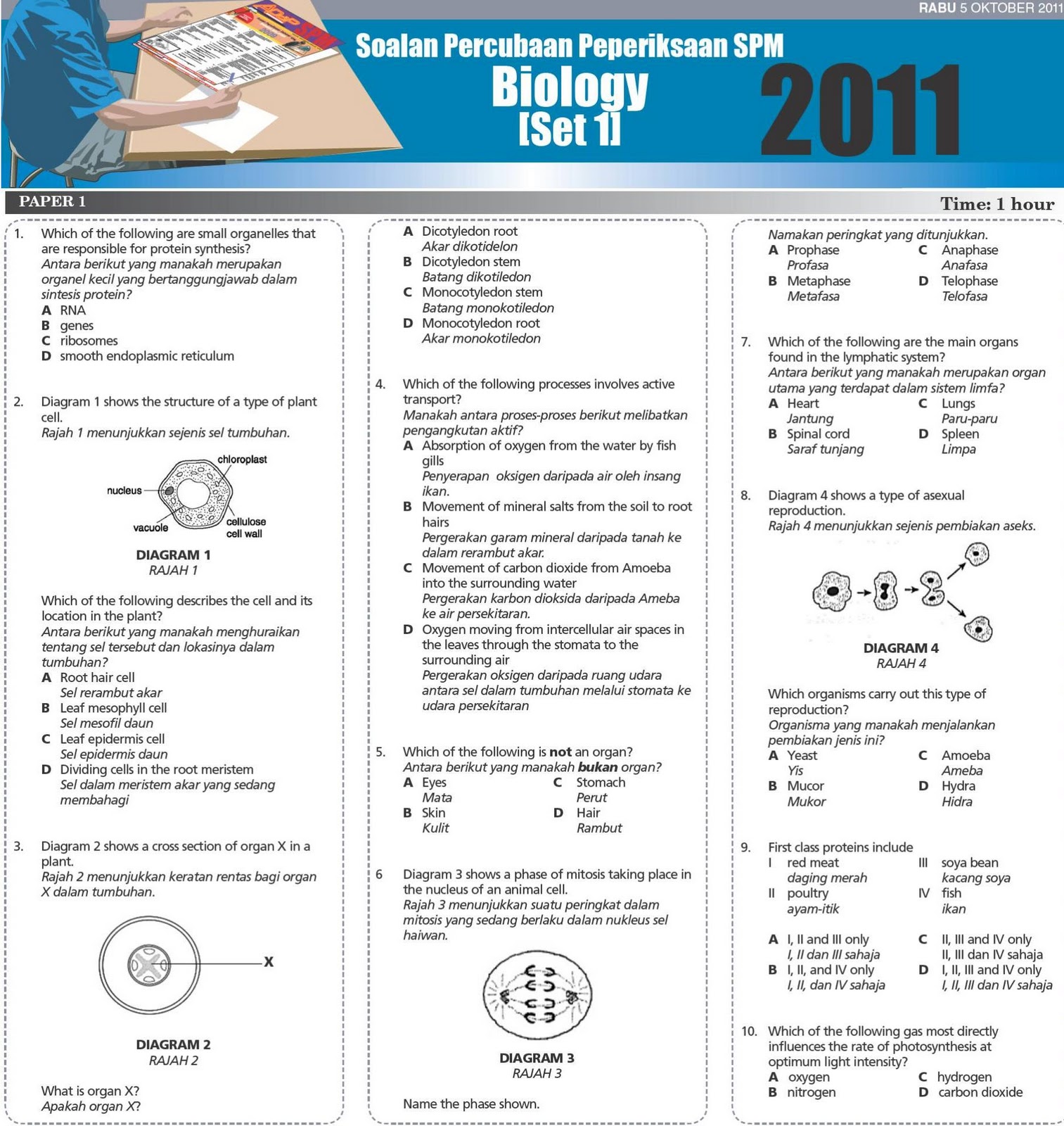 Soalan Ulangkaji Biologi Tingkatan 4 - Selangor o