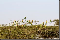 IMG_5855
