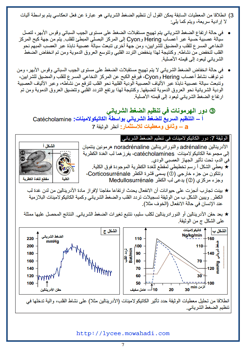 تعميم مفهوم الاندماج العصب هرموني-7