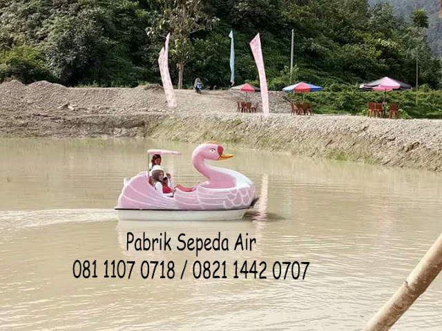 sepeda air 2 penumpang harga murah