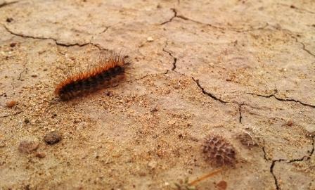 20120301_090103small