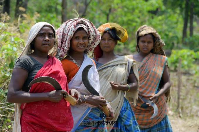   जनजातीय योजना: वनोत्पादों और उत्पादन के विकास और विपणन के लिए संस्थागत सहायता 