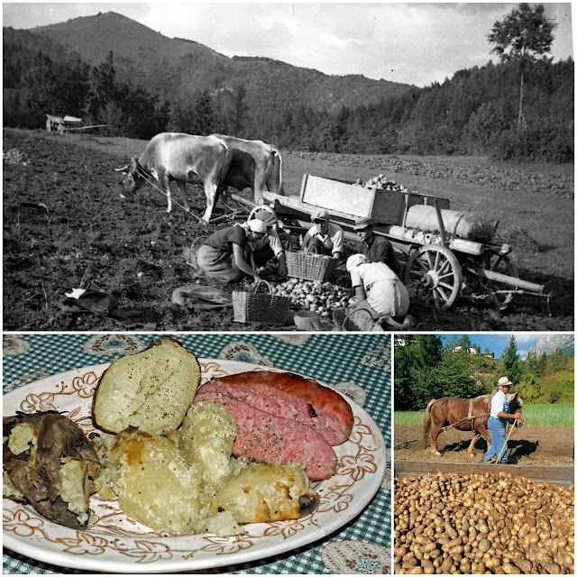 patate in trentino