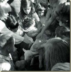 1971 Lambsie at show and tell