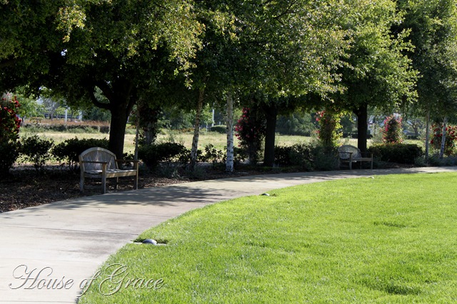2011 05 21_4698