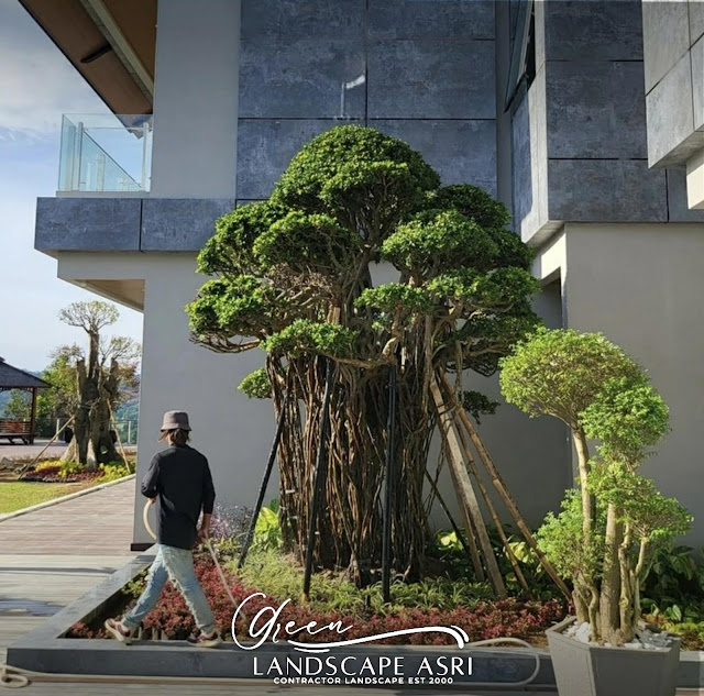 Jasa Taman Rumah Klasik di Surabaya