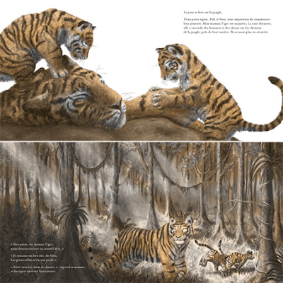Petits tigres,livre pour enfant sur la migration et l'amour maternel, editions  kaleidoscope, de jo weaver petite baleine tigre, tiger