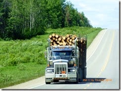 Logging truck