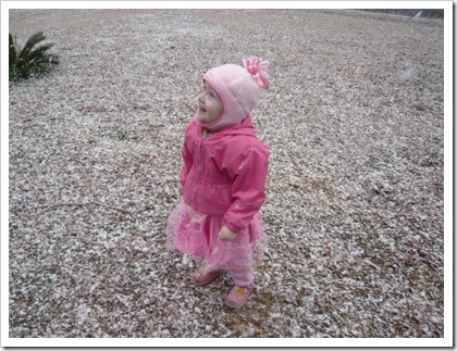 Snow1