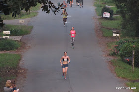 2017 Tallahassee Women's Distance Festival