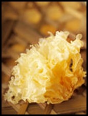 snow fungus