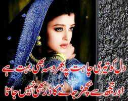 sad poetry in urdu and punjabi