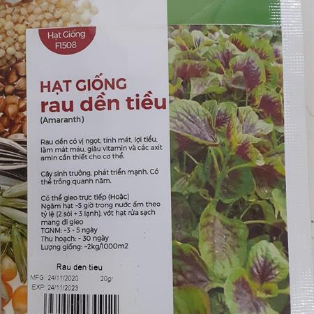 Hạt giống Rau Dền tiều 818AQ