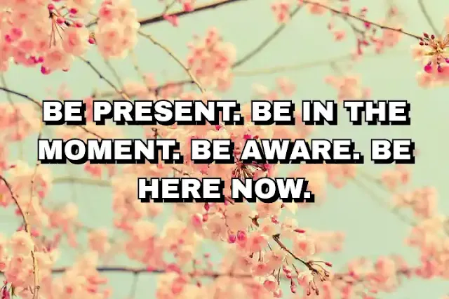 Be present. Be in the moment. Be aware. Be here now.