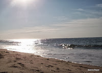 Early morning ocean scene