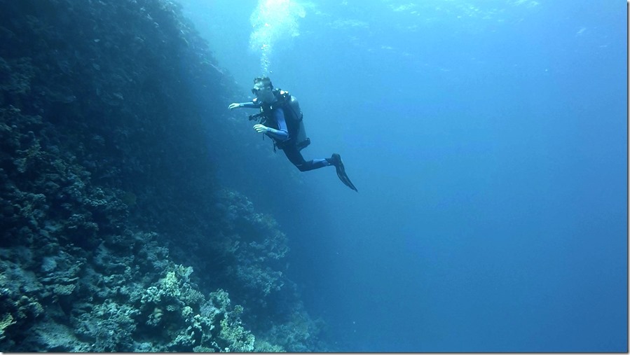 GOPR0430.MP4_snapshot_00.07_[2018.10.24_14.30.51]_cr