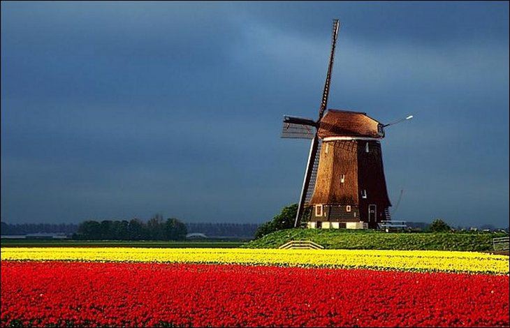 Netherland in May Month Seen On www.coolpicturegallery.us