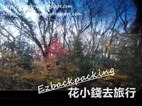 濟州516號公路紅葉