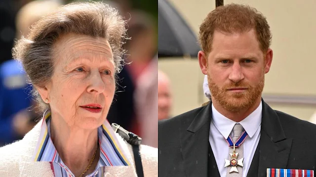 Princess Anne's Furious Move: Prince Harry Reportedly Kicked Out of Frogmore Premises, Stripped of Royal Status