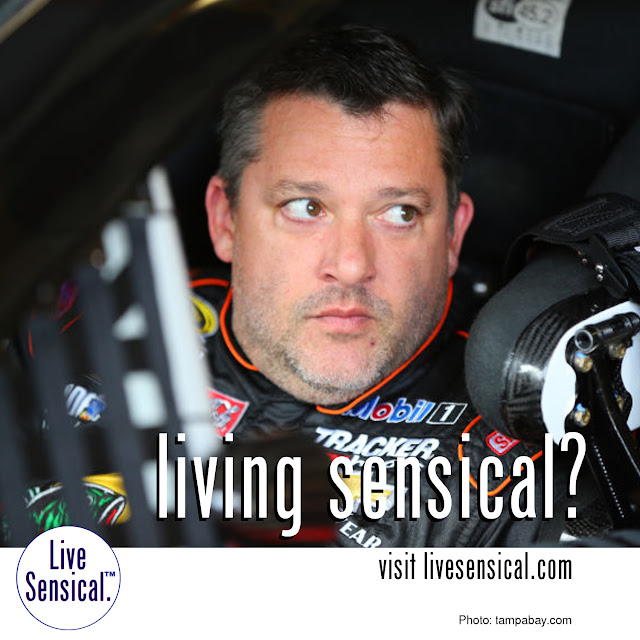 Tony Stewart might never livesensical.com  - Parents of Kevin Ward (which Stewart's car hit and killed last year) filed a wrongful death lawsuit against Stewart. A toxicology report showed Ward had marijuana in his system the night of the fatal incident, "enough to impair judgment." Ward was standing outside his car on the track at the time.