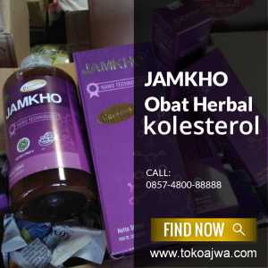 Jual Jamkho Obat Kolesterol, Anda di BintanHubungi kami WA : 085748008888