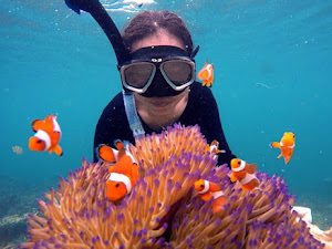 8 Lokasi Snorkeling di Lampung Dengan View Terumbu Karang yang Indah