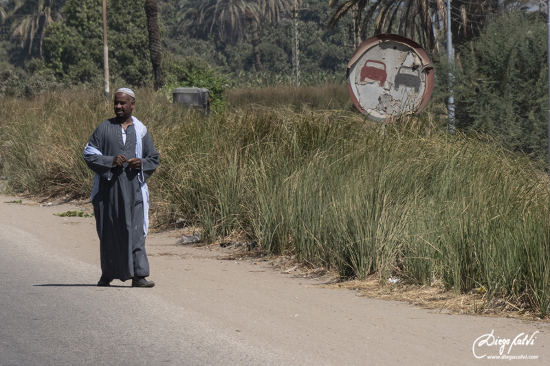 Viaje a Egipto de 8 días con crucero por el Nilo. - Blogs de Egipto - Por carretera hasta Luxor, Egipto (16)