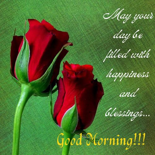 good morning Red Roses  images