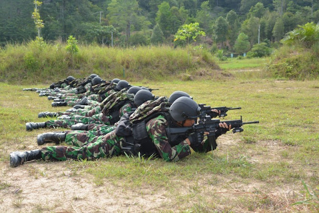 Mengenal Kemampuan Inti Pasukan Pemukul Reaksi Cepat TNI.jpg