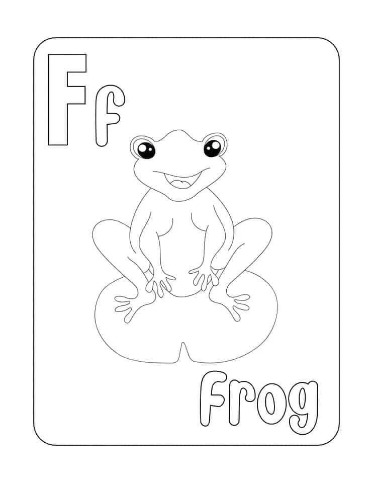 Tranh tô màu con ếch (Frog)