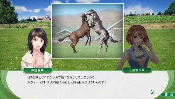 ケンカに強い馬？