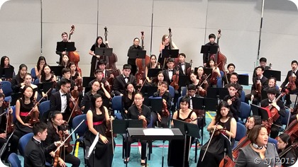 Violin Concert in Nov