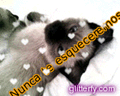 MARAVILHOSO BLOG!
