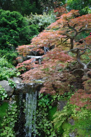 Hakone Garden, Saratoga