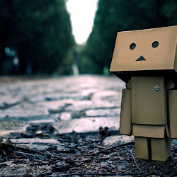 Wallpaper Danbo Box @ digaleri.com