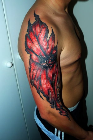 Anatomical arm muscle tattoo by street anatomy