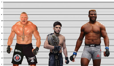 Henry Cejudo height comparison with Brock Lesnar and Francis Ngannou