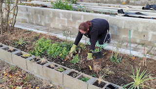 Angela weeding the flower bed